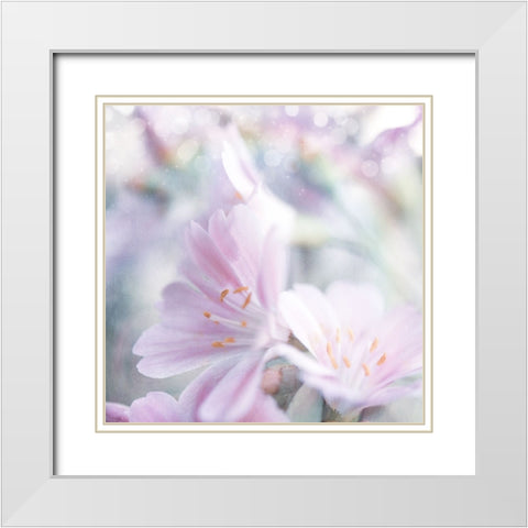 Mystical Gypsy Flower 05 White Modern Wood Framed Art Print with Double Matting by LightBoxJournal