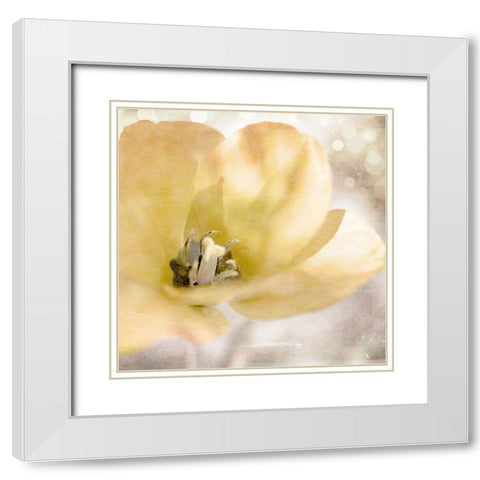 Yellow Tulip 01 White Modern Wood Framed Art Print with Double Matting by LightBoxJournal