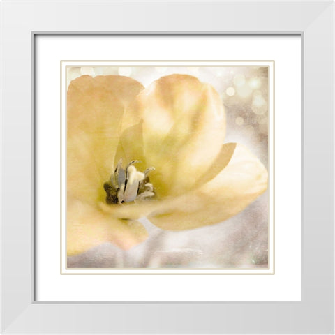 Yellow Tulip 01 White Modern Wood Framed Art Print with Double Matting by LightBoxJournal