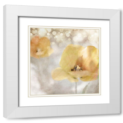 Yellow Tulip 02 White Modern Wood Framed Art Print with Double Matting by LightBoxJournal