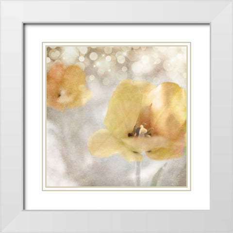 Yellow Tulip 02 White Modern Wood Framed Art Print with Double Matting by LightBoxJournal