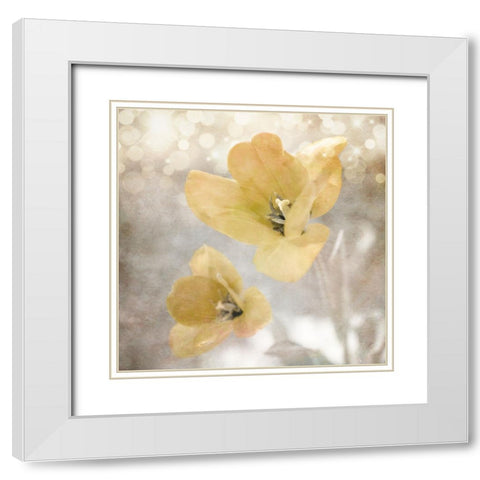 Yellow Tulip 03 White Modern Wood Framed Art Print with Double Matting by LightBoxJournal