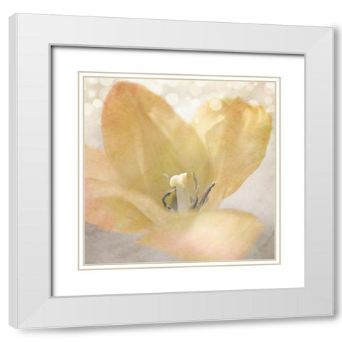 Yellow Tulip 04 White Modern Wood Framed Art Print with Double Matting by LightBoxJournal