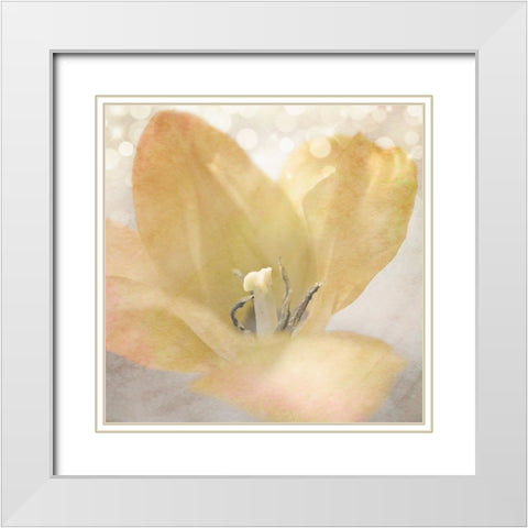 Yellow Tulip 04 White Modern Wood Framed Art Print with Double Matting by LightBoxJournal