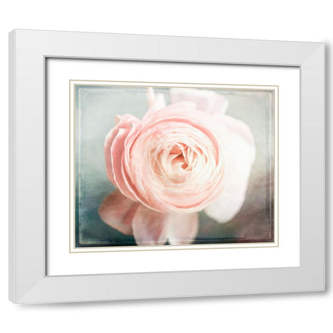 Peony 02 White Modern Wood Framed Art Print with Double Matting by LightBoxJournal