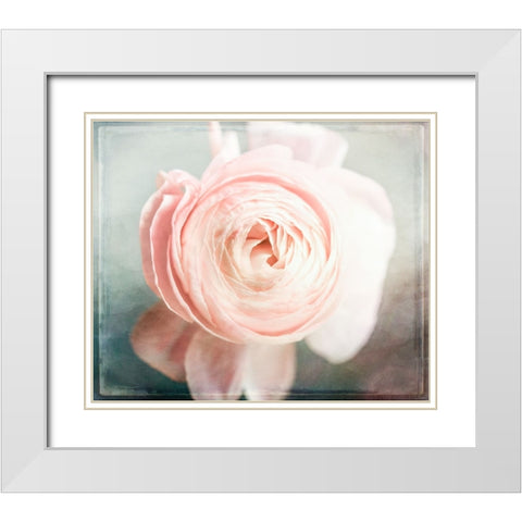 Peony 02 White Modern Wood Framed Art Print with Double Matting by LightBoxJournal