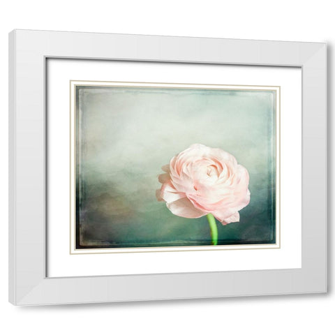 Peony 03 White Modern Wood Framed Art Print with Double Matting by LightBoxJournal