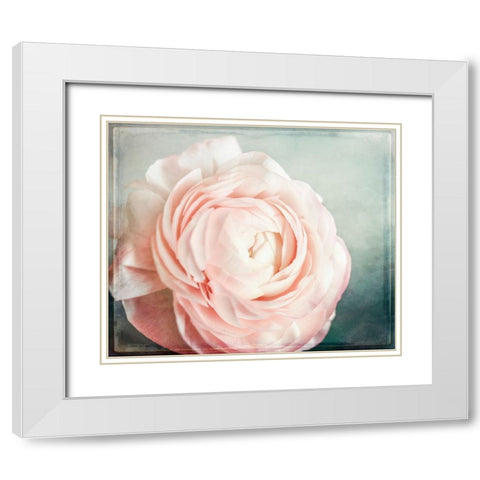 Peony 04 White Modern Wood Framed Art Print with Double Matting by LightBoxJournal