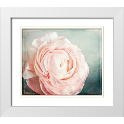 Peony 04 White Modern Wood Framed Art Print with Double Matting by LightBoxJournal