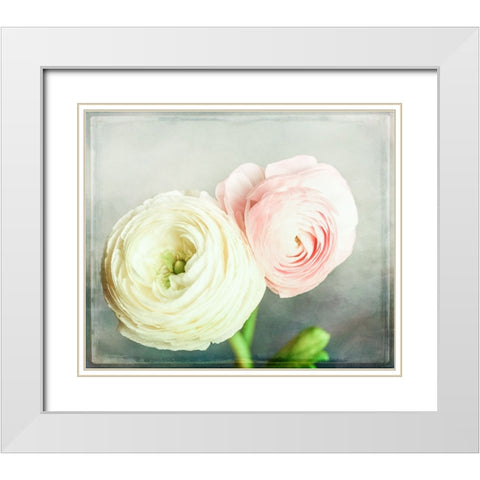Peony 06 White Modern Wood Framed Art Print with Double Matting by LightBoxJournal