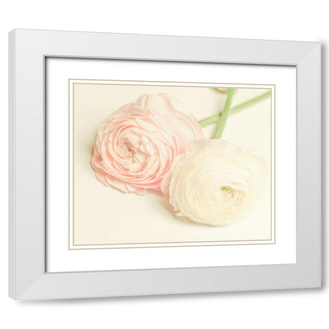 Peony A3 White Modern Wood Framed Art Print with Double Matting by LightBoxJournal