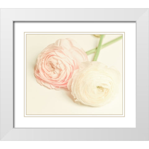 Peony A3 White Modern Wood Framed Art Print with Double Matting by LightBoxJournal