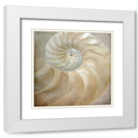 Under the Sea 01 White Modern Wood Framed Art Print with Double Matting by LightBoxJournal