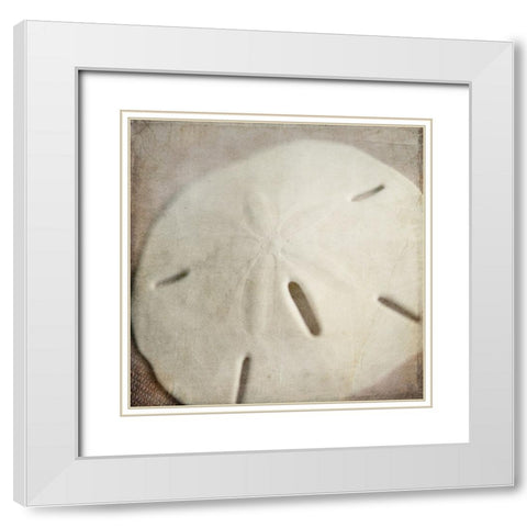 Under the Sea 02 White Modern Wood Framed Art Print with Double Matting by LightBoxJournal