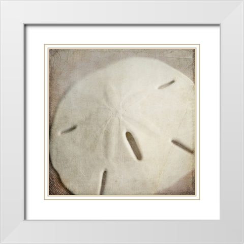 Under the Sea 02 White Modern Wood Framed Art Print with Double Matting by LightBoxJournal