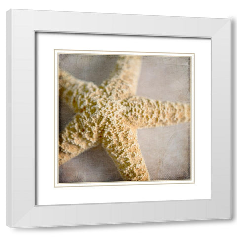Under the Sea 03 White Modern Wood Framed Art Print with Double Matting by LightBoxJournal
