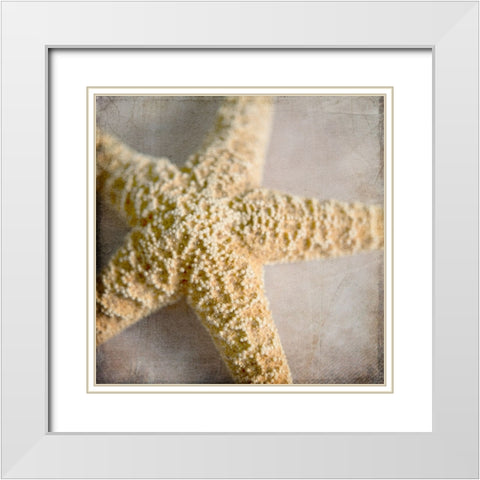 Under the Sea 03 White Modern Wood Framed Art Print with Double Matting by LightBoxJournal