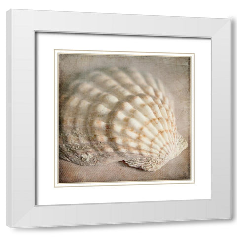 Under the Sea 04 White Modern Wood Framed Art Print with Double Matting by LightBoxJournal