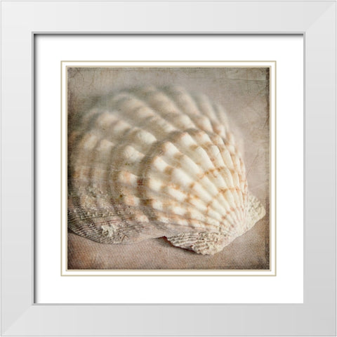 Under the Sea 04 White Modern Wood Framed Art Print with Double Matting by LightBoxJournal
