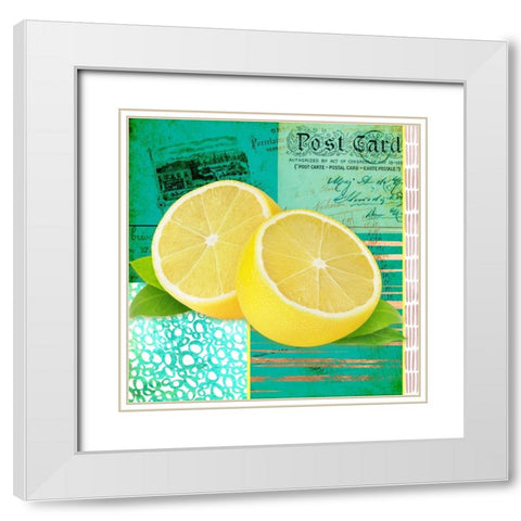 Gypsy Lemons 4 White Modern Wood Framed Art Print with Double Matting by LightBoxJournal