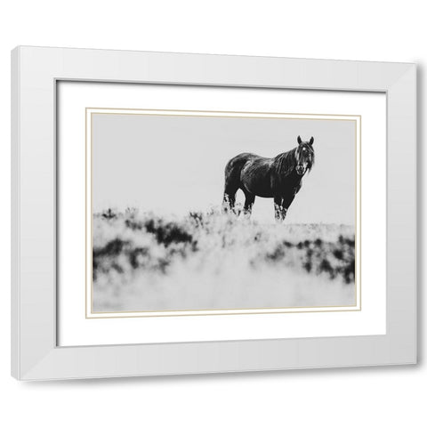 Wild Horses of the Great Basin 01 White Modern Wood Framed Art Print with Double Matting by LightBoxJournal
