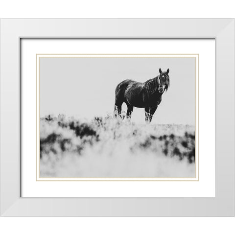Wild Horses of the Great Basin 01 White Modern Wood Framed Art Print with Double Matting by LightBoxJournal