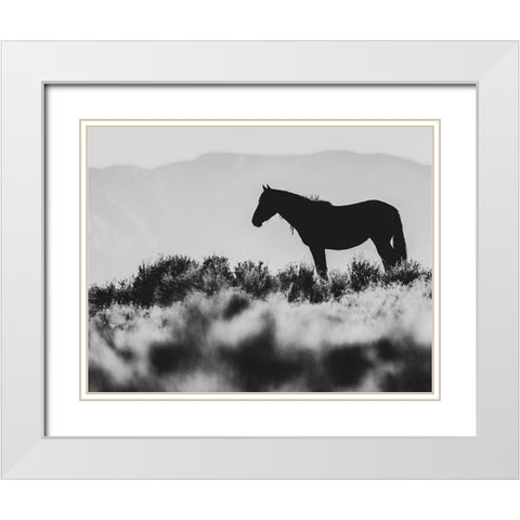 Wild Horses of the Great Basin 02 White Modern Wood Framed Art Print with Double Matting by LightBoxJournal