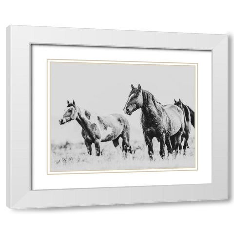 Wild Horses of the Great Basin 04 White Modern Wood Framed Art Print with Double Matting by LightBoxJournal