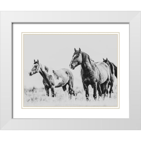 Wild Horses of the Great Basin 04 White Modern Wood Framed Art Print with Double Matting by LightBoxJournal