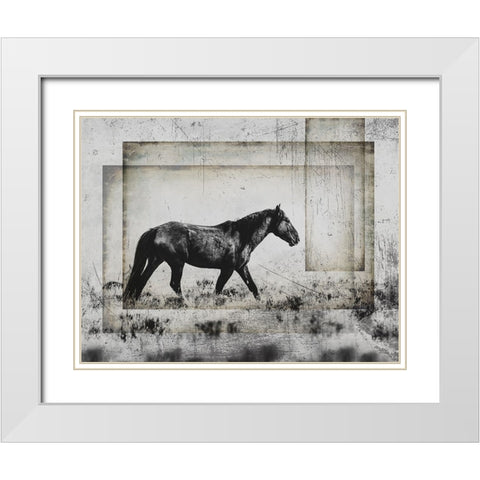 Wild Horses of the Great Basin 05 White Modern Wood Framed Art Print with Double Matting by LightBoxJournal