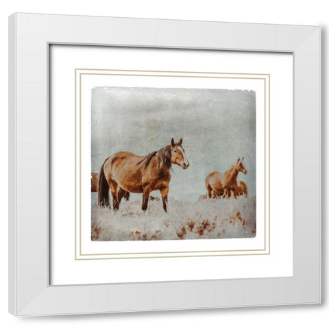 Wild Horses of the Great Basin Lomography 01 White Modern Wood Framed Art Print with Double Matting by LightBoxJournal