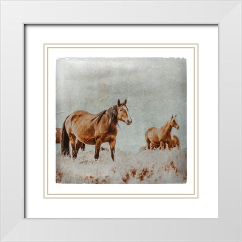 Wild Horses of the Great Basin Lomography 01 White Modern Wood Framed Art Print with Double Matting by LightBoxJournal