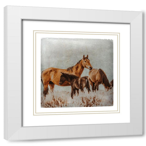 Wild Horses of the Great Basin Lomography 02 White Modern Wood Framed Art Print with Double Matting by LightBoxJournal