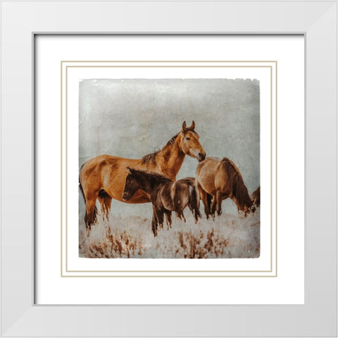 Wild Horses of the Great Basin Lomography 02 White Modern Wood Framed Art Print with Double Matting by LightBoxJournal