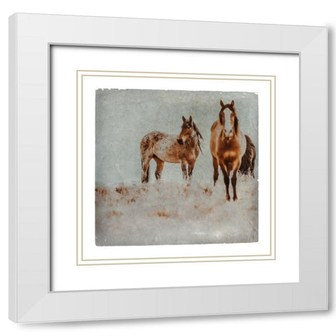 Wild Horses of the Great Basin Lomography 03 White Modern Wood Framed Art Print with Double Matting by LightBoxJournal