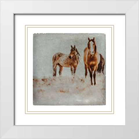 Wild Horses of the Great Basin Lomography 03 White Modern Wood Framed Art Print with Double Matting by LightBoxJournal