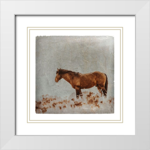 Wild Horses of the Great Basin Lomography 05 White Modern Wood Framed Art Print with Double Matting by LightBoxJournal