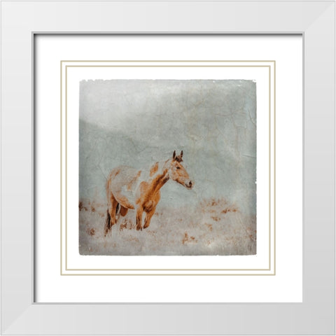 Wild Horses of the Great Basin Lomography 07 White Modern Wood Framed Art Print with Double Matting by LightBoxJournal