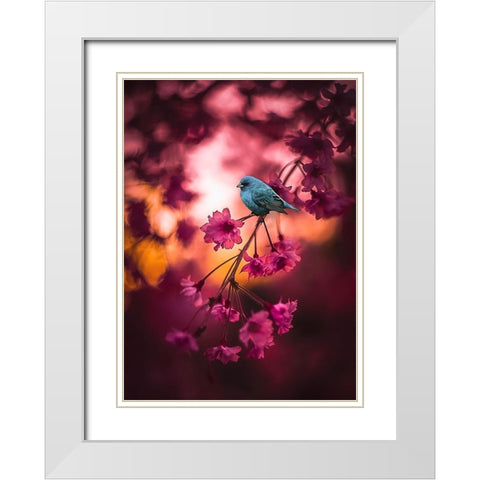 Cherry Blossoms White Modern Wood Framed Art Print with Double Matting by Love Grams