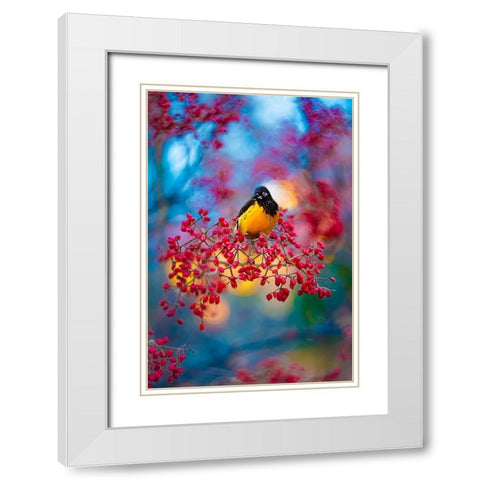 The Oriole White Modern Wood Framed Art Print with Double Matting by Love Grams