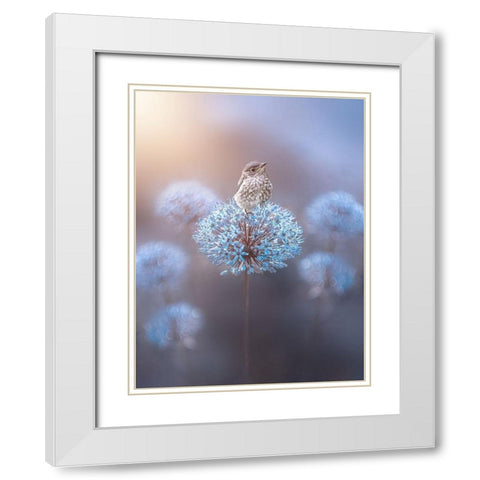 The Perch White Modern Wood Framed Art Print with Double Matting by Love Grams