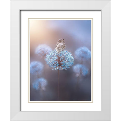 The Perch White Modern Wood Framed Art Print with Double Matting by Love Grams