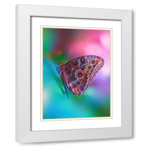 Hazy Butterfly White Modern Wood Framed Art Print with Double Matting by Love Grams