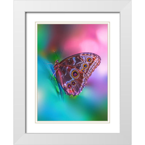 Hazy Butterfly White Modern Wood Framed Art Print with Double Matting by Love Grams