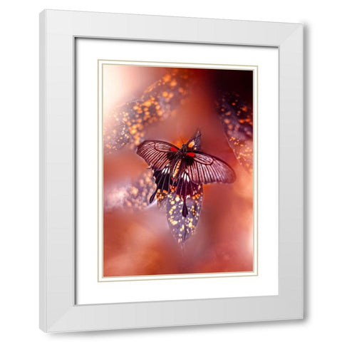 Hearts on Fire White Modern Wood Framed Art Print with Double Matting by Love Grams