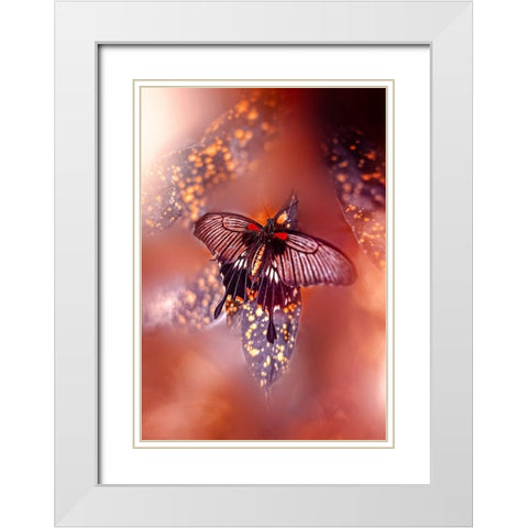 Hearts on Fire White Modern Wood Framed Art Print with Double Matting by Love Grams