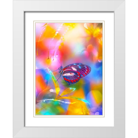 Rainbow Overlays White Modern Wood Framed Art Print with Double Matting by Love Grams