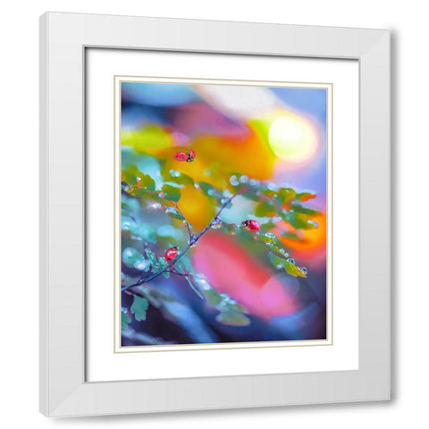 The Ladybugs White Modern Wood Framed Art Print with Double Matting by Love Grams