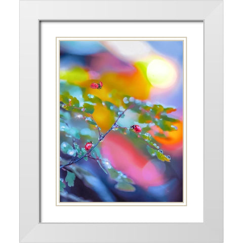 The Ladybugs White Modern Wood Framed Art Print with Double Matting by Love Grams