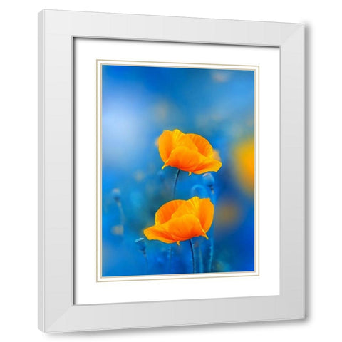 Wild Poppies White Modern Wood Framed Art Print with Double Matting by Love Grams